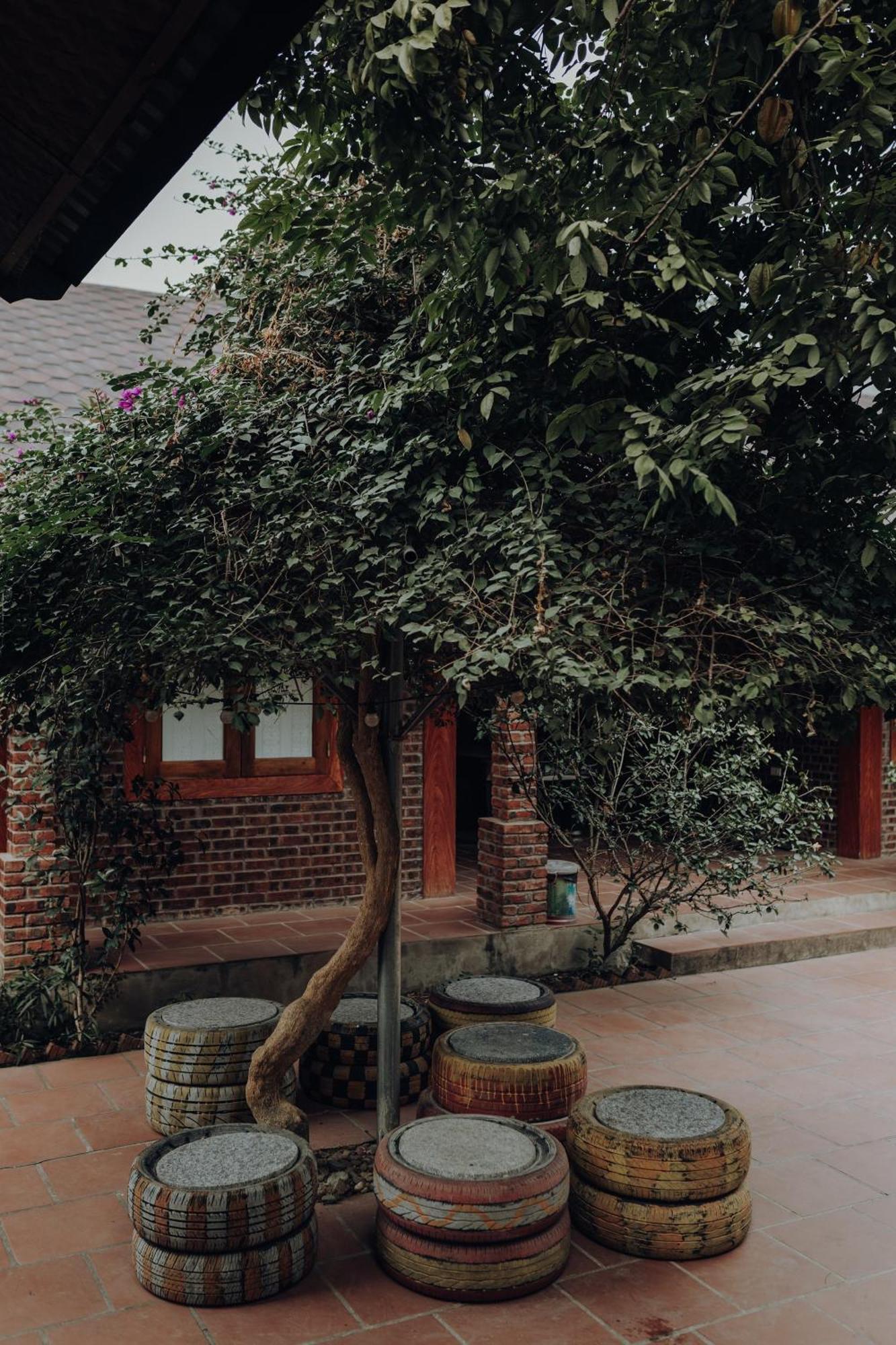Ninh Binh Palm Homestay Екстер'єр фото