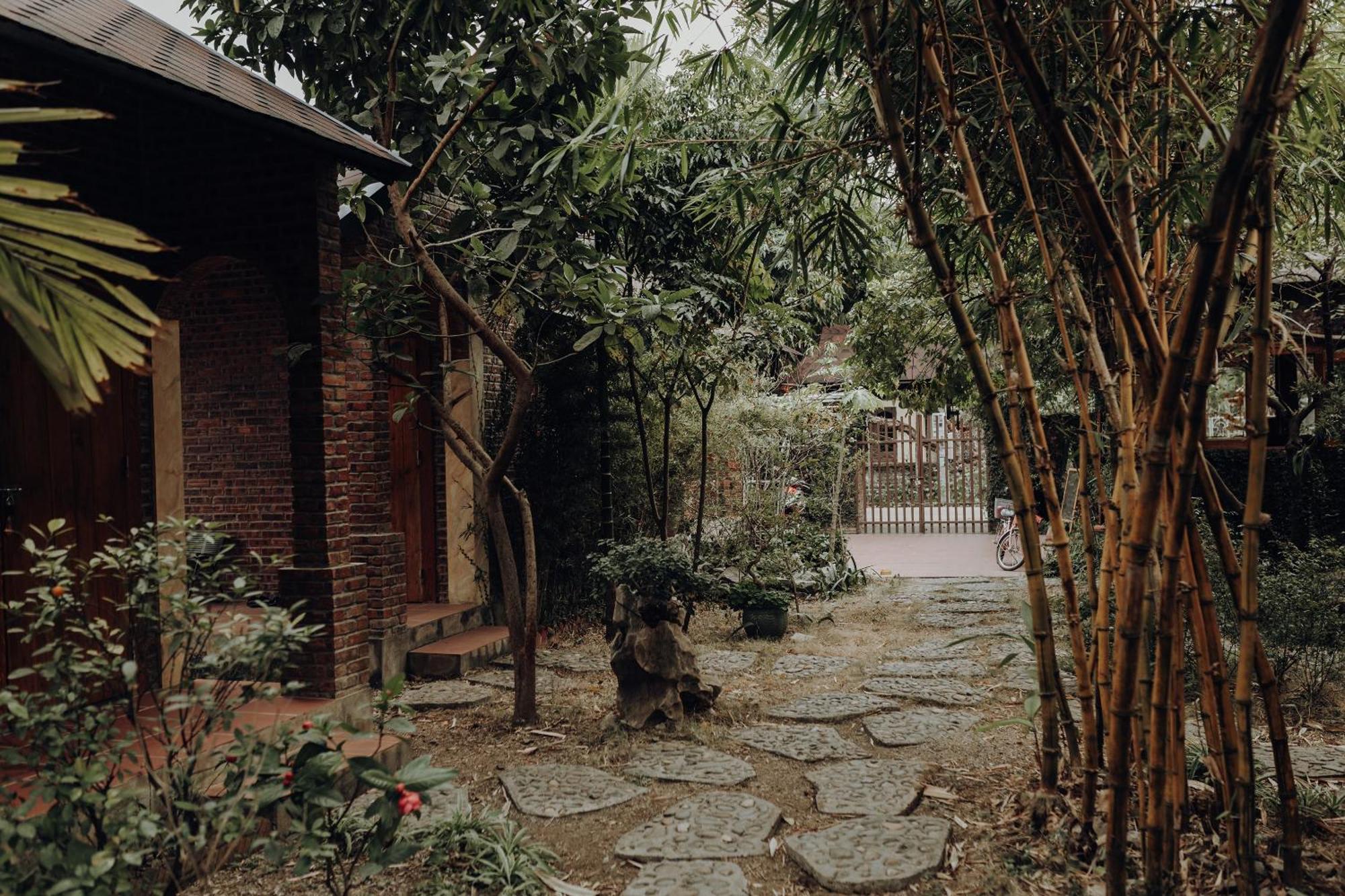 Ninh Binh Palm Homestay Екстер'єр фото