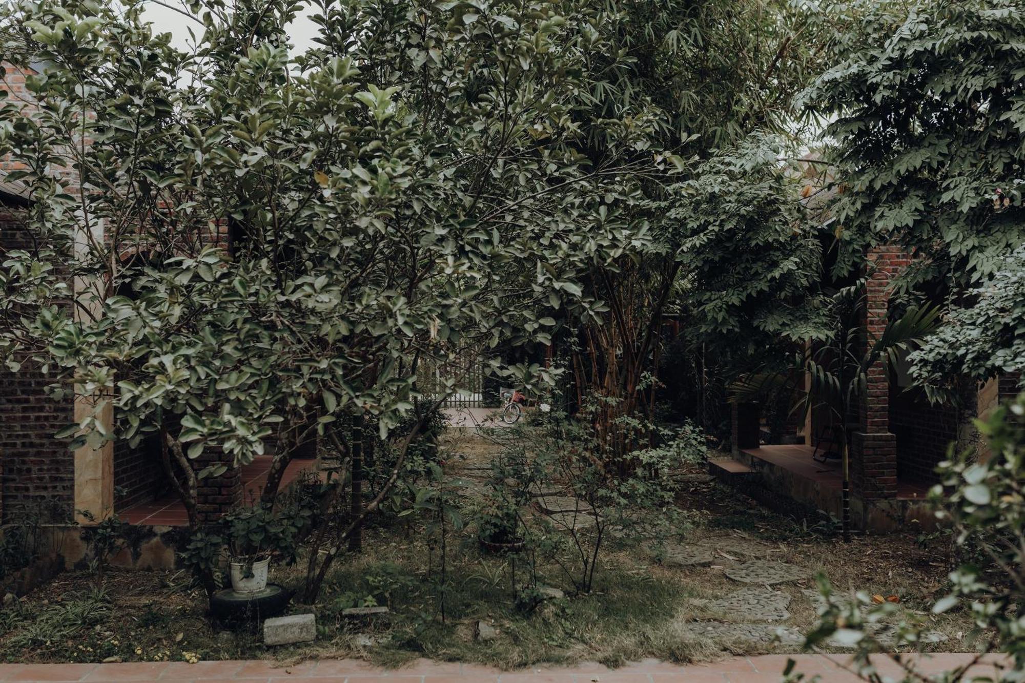 Ninh Binh Palm Homestay Екстер'єр фото