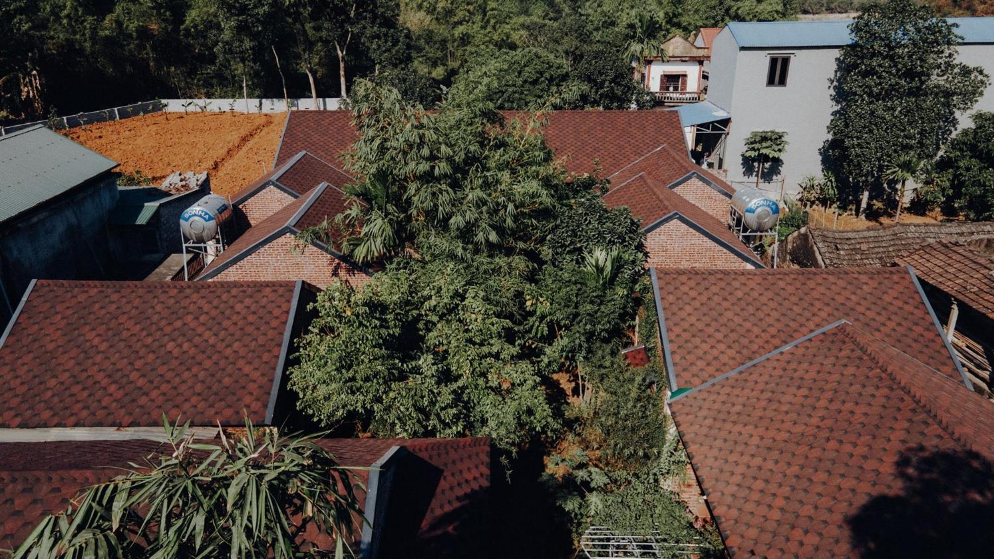 Ninh Binh Palm Homestay Екстер'єр фото